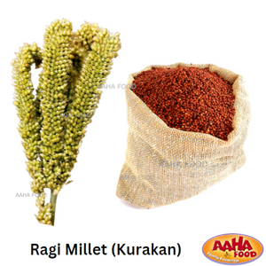 Ragi Millet (Kurakan)